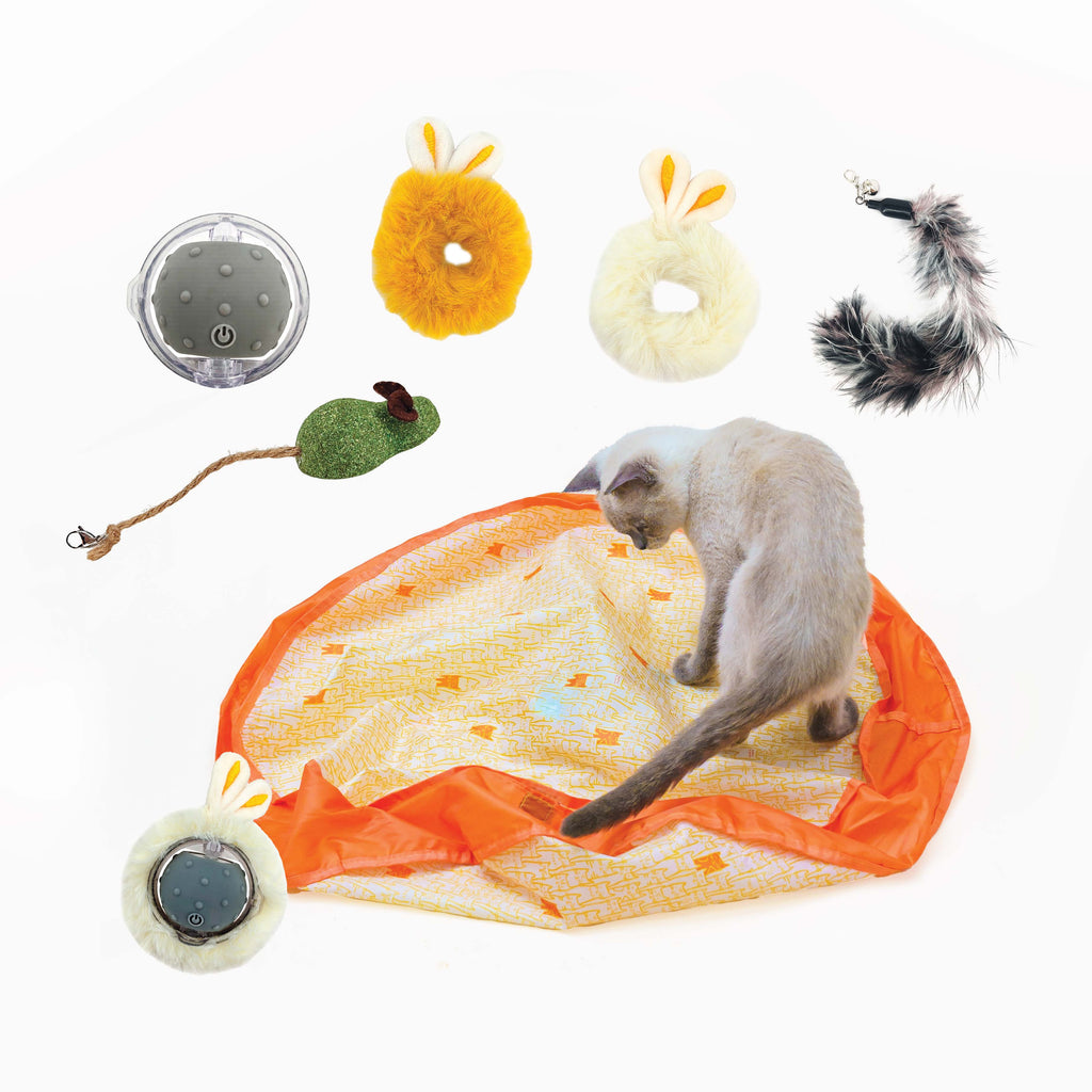 Pounce Mat Hunting Toy- 2-in-1 Toy with interactive ball