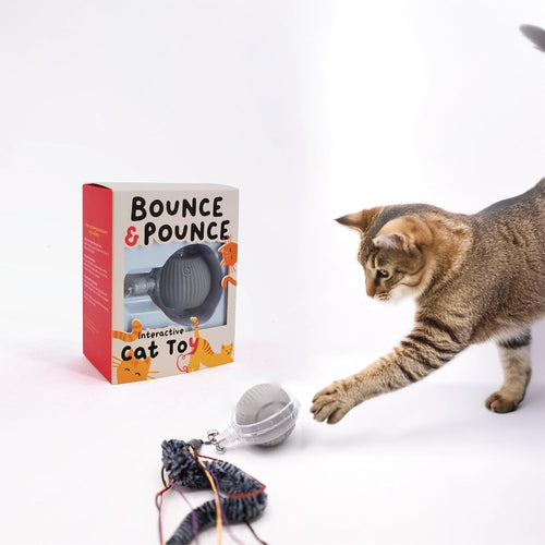 Bounce and Pounce Interactive Ball