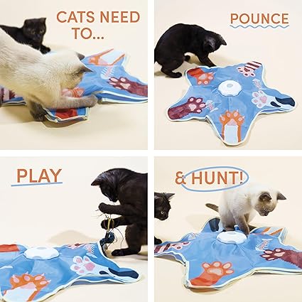 Paw Paw Peek-A-Boo Interactive Cat Toy – 5-Point Feather Hunting Game with Bird Sounds
