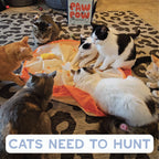 Pounce Mat 2.0- Hunting Toy- 2-in-1 Toy with interactive ball