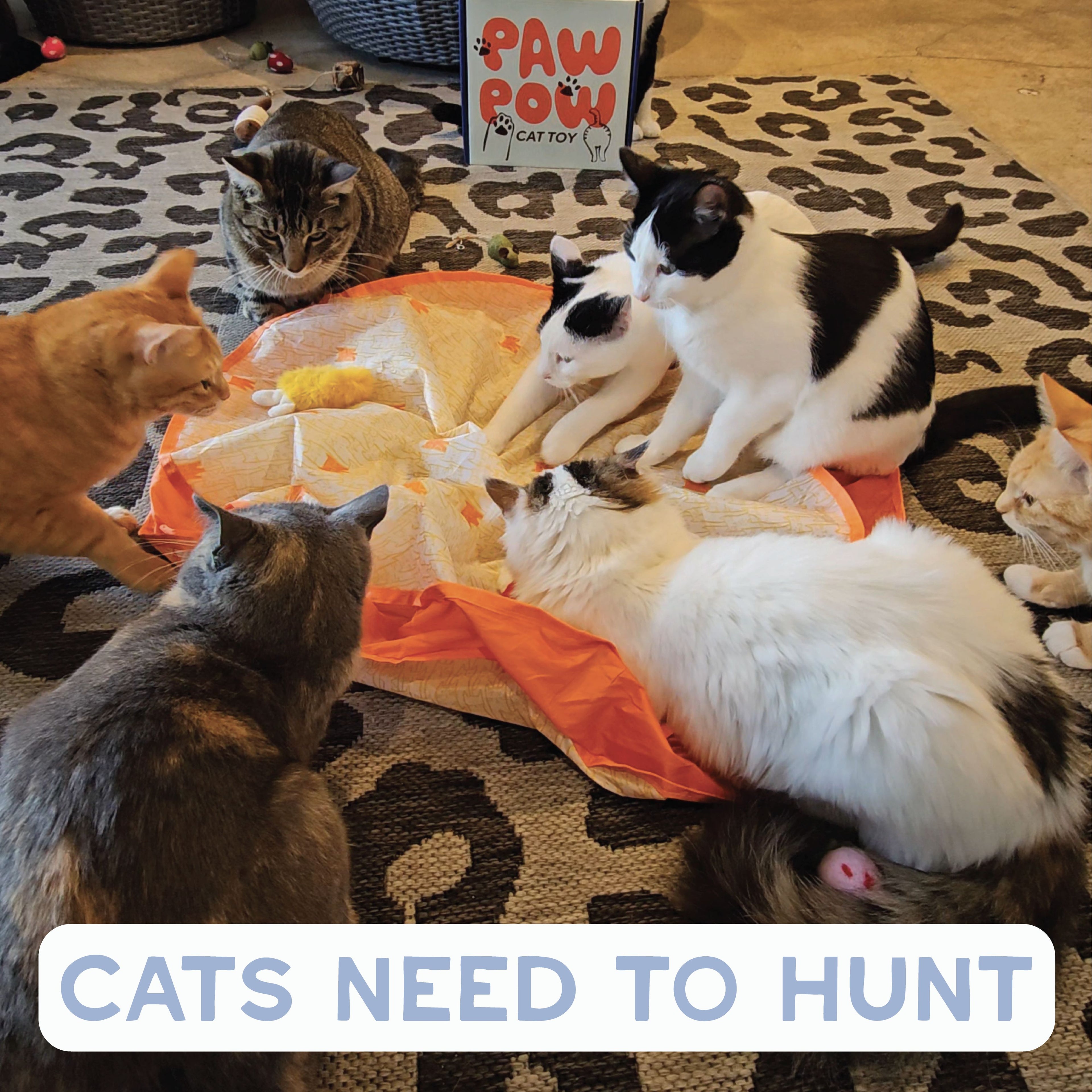 Pounce Mat 2.0- Hunting Toy- 2-in-1 Toy with interactive ball