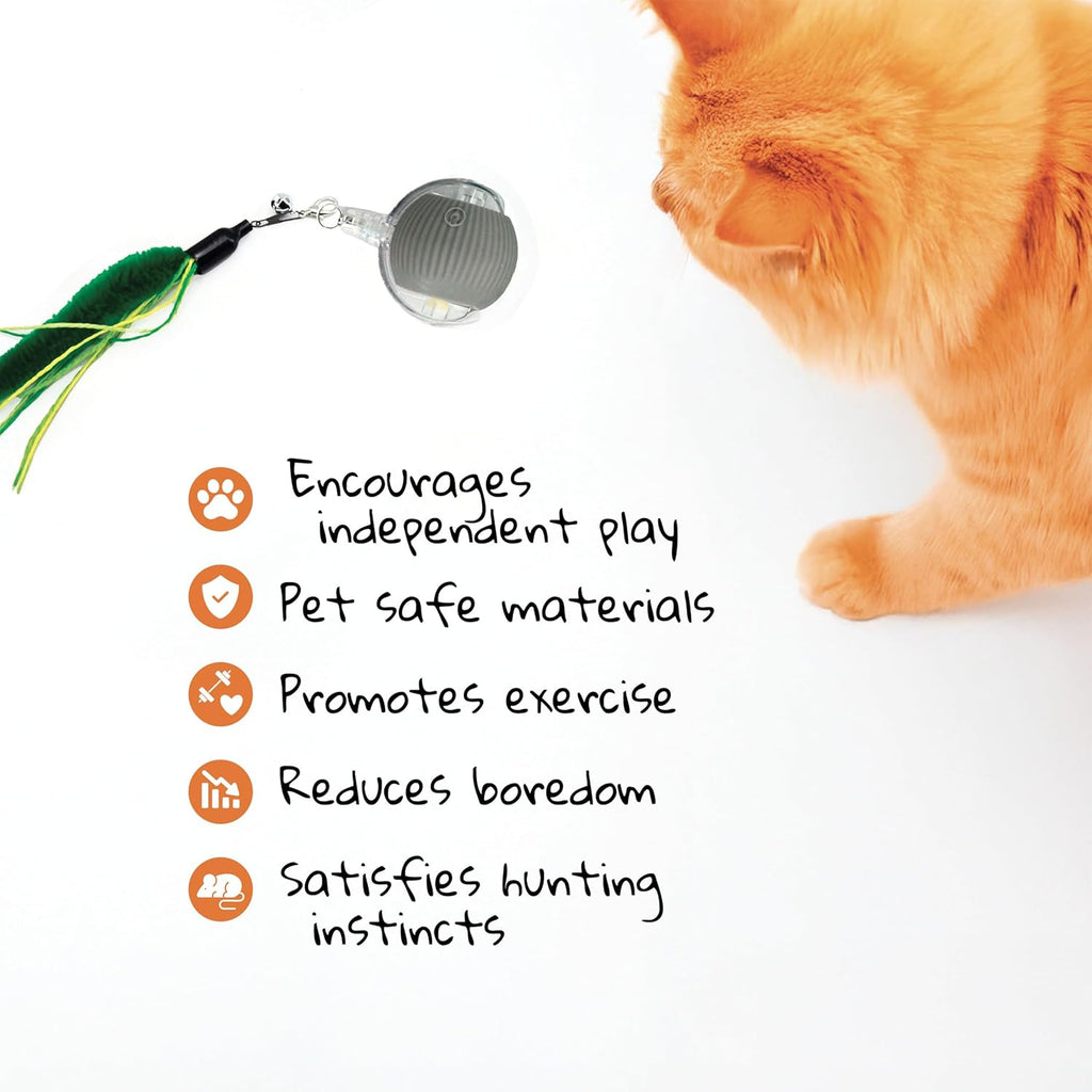 Bounce and Pounce Interactive Ball