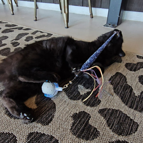 Bounce and Pounce Interactive Ball