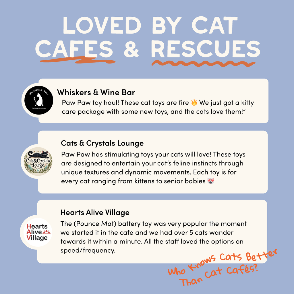 Pounce Mat Hunting Toy- 2-in-1 Toy with interactive ball