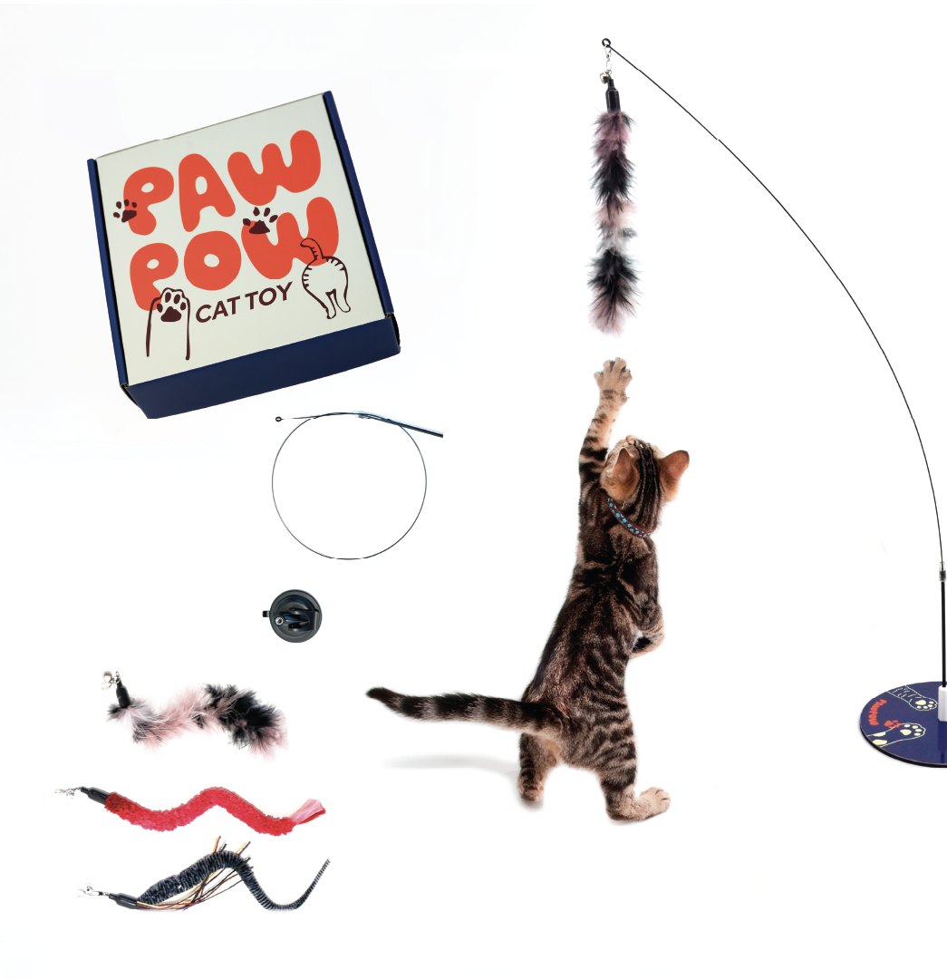 Paw Pow Interactive Cat Wand Toy