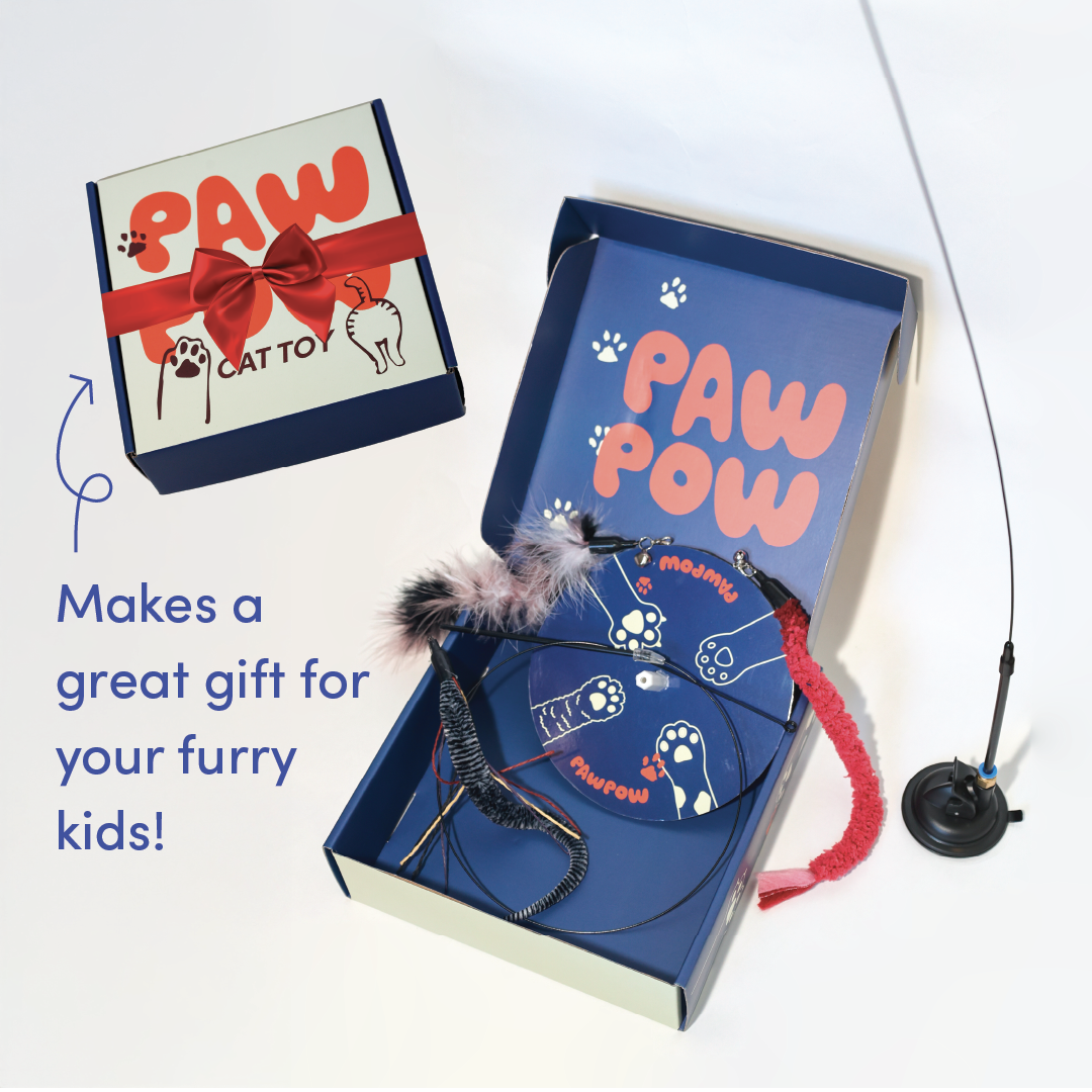 Paw Pow Interactive Cat Wand Toy
