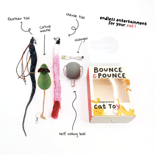 Bounce and Pounce Interactive Ball