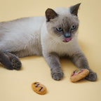 PPJ Food Shape Kickers – Felt Cat Toys for Play & Kicking Fun