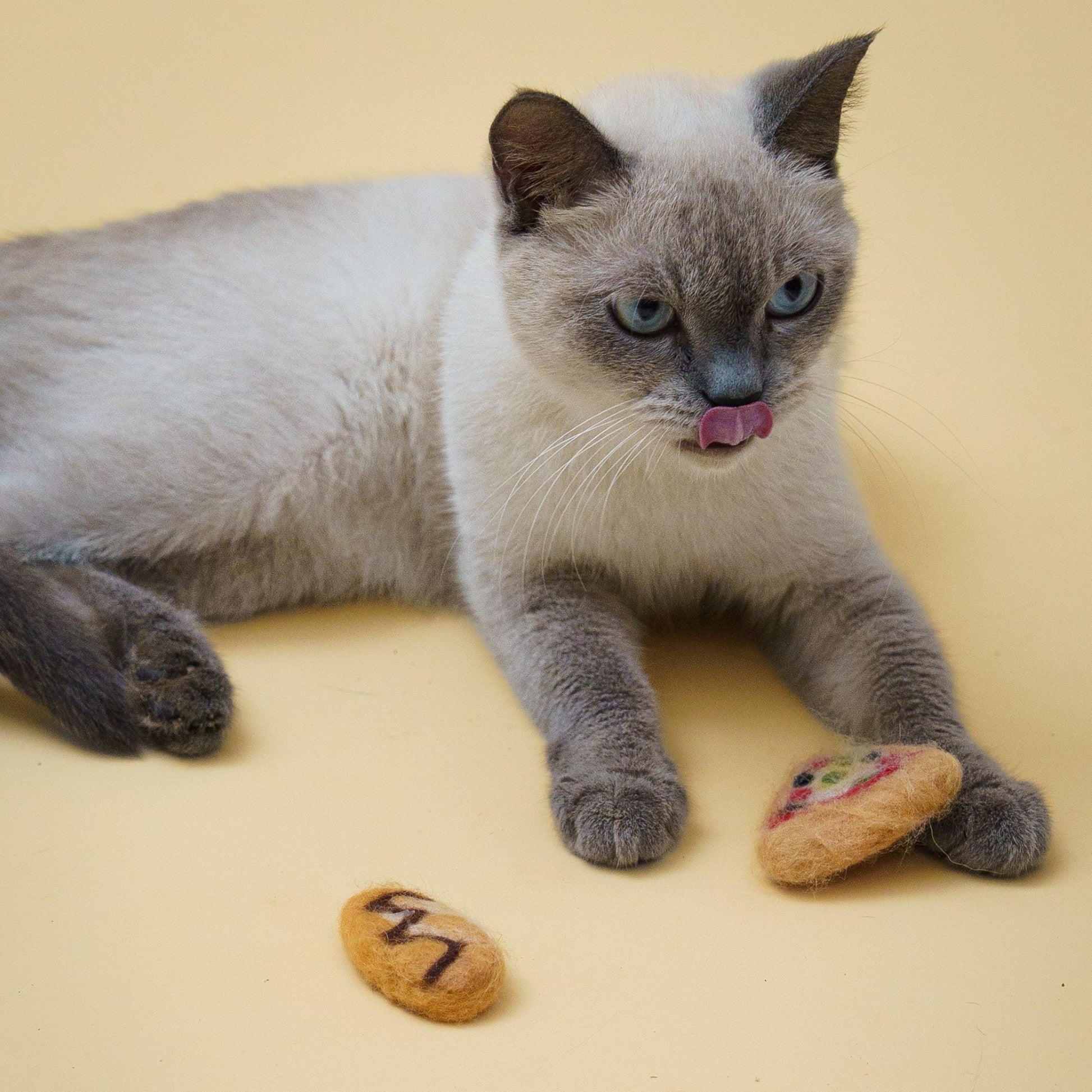 PPJ Food Shape Kickers – Felt Cat Toys for Play & Kicking Fun