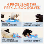 Paw Paw Peek-A-Boo Interactive Cat Toy – 5-Point Feather Hunting Game with Bird Sounds
