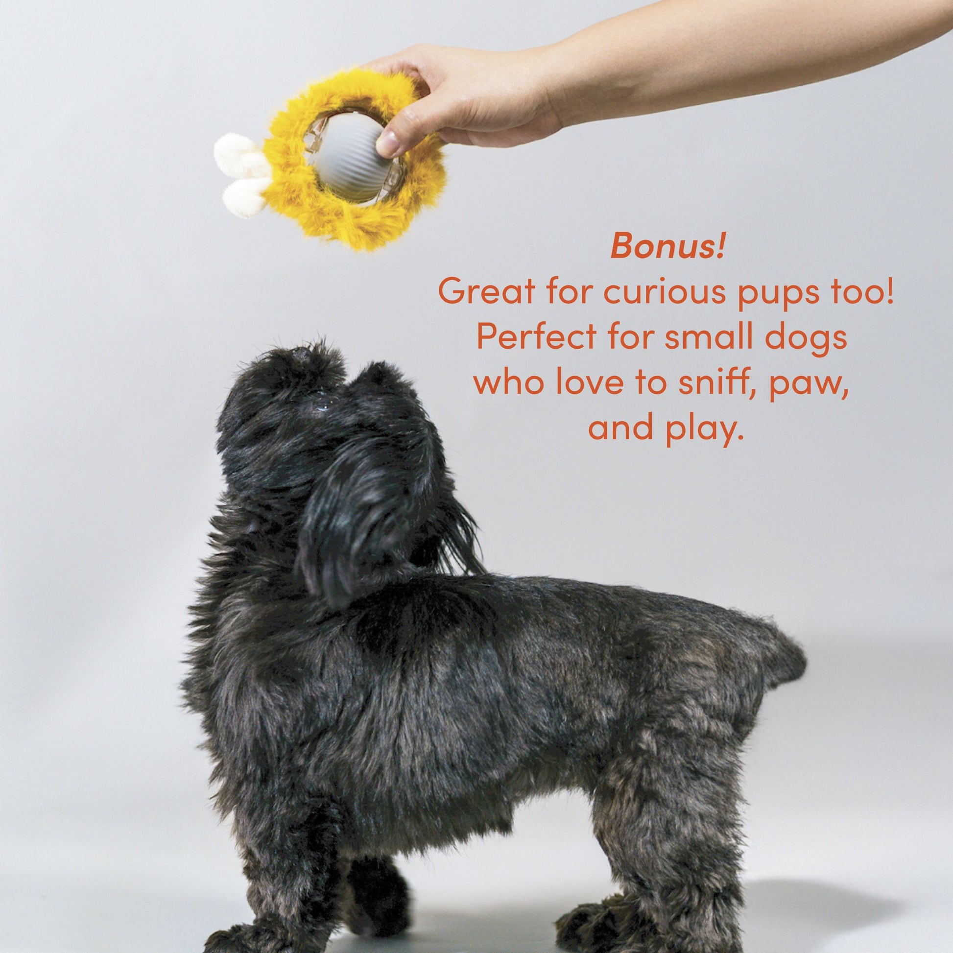 Pounce Mat Hunting Toy- 2-in-1 Toy with interactive ball