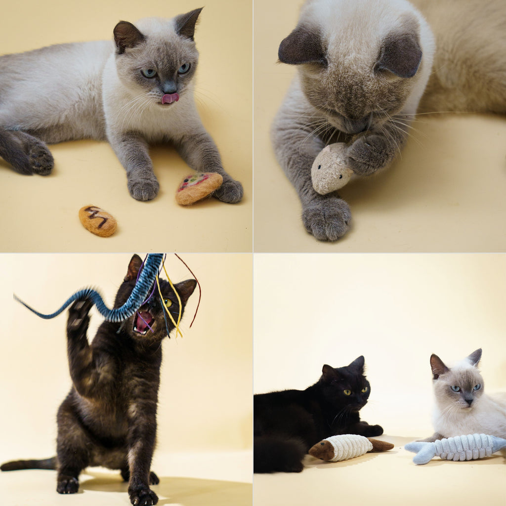 Kitty Kicker Bundle- 3 Kicker sets w/ Paw Pow Wand Toy