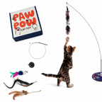 Paw Pow Interactive Cat Wand Toy