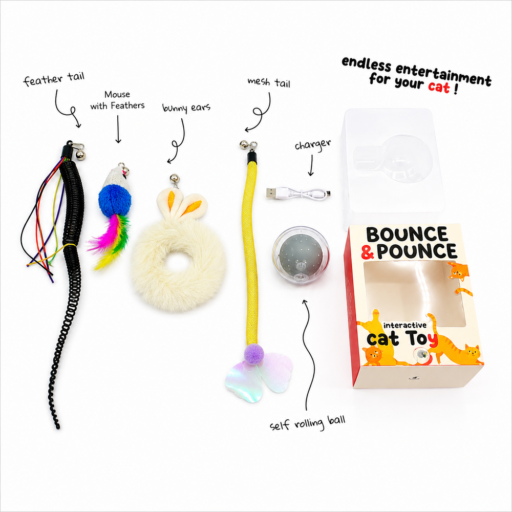 Bounce and Pounce Interactive Ball