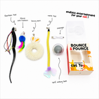 Bounce and Pounce Interactive Ball