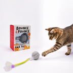 Bounce and Pounce Interactive Ball
