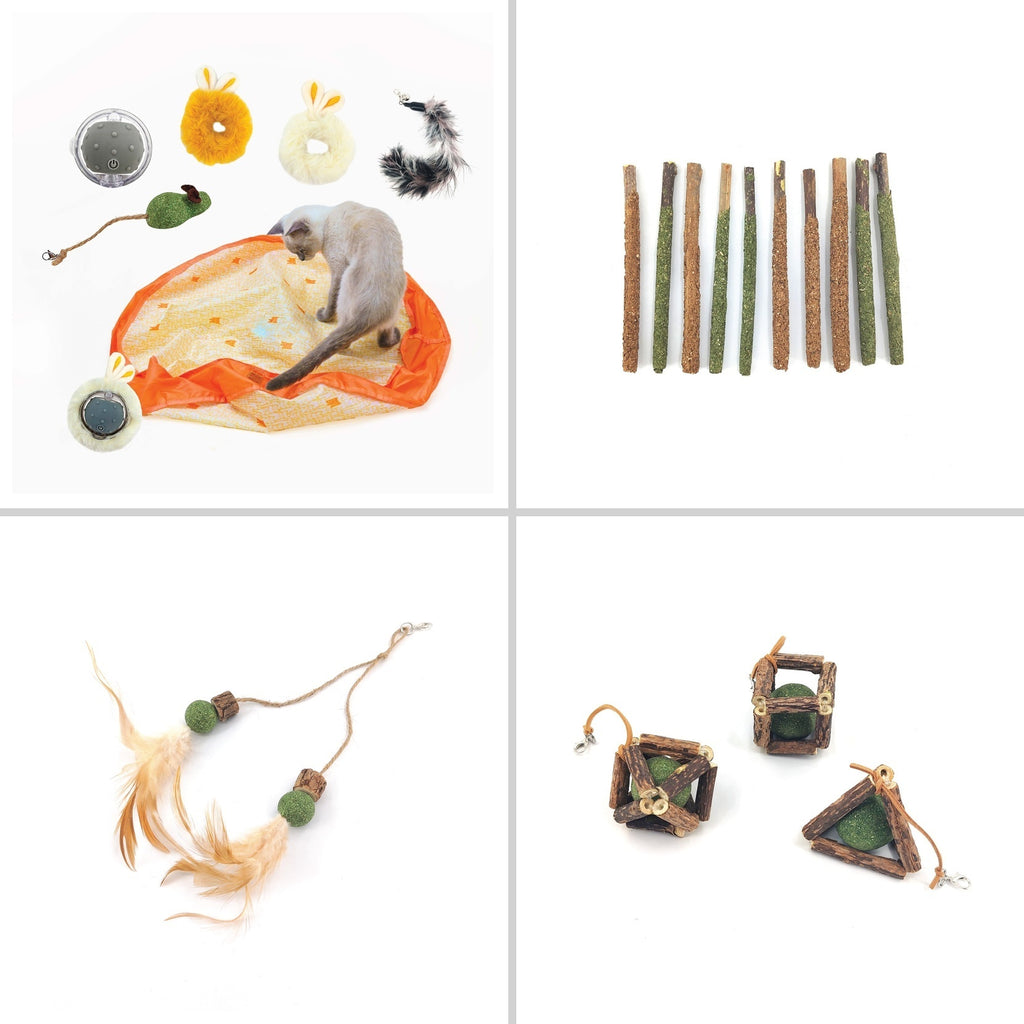 Catnip Craze Bundle- 3 Silvervine/Cat Nip Sets + Pounce Mat toy