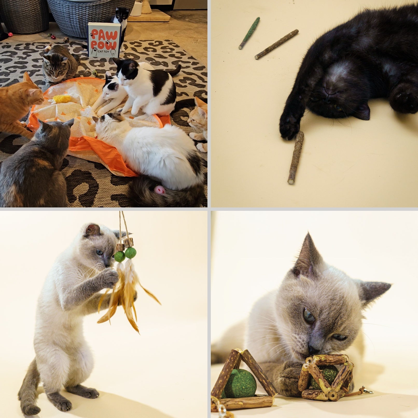 Catnip Craze Bundle- 3 Silvervine/Cat Nip Sets + Pounce Mat toy