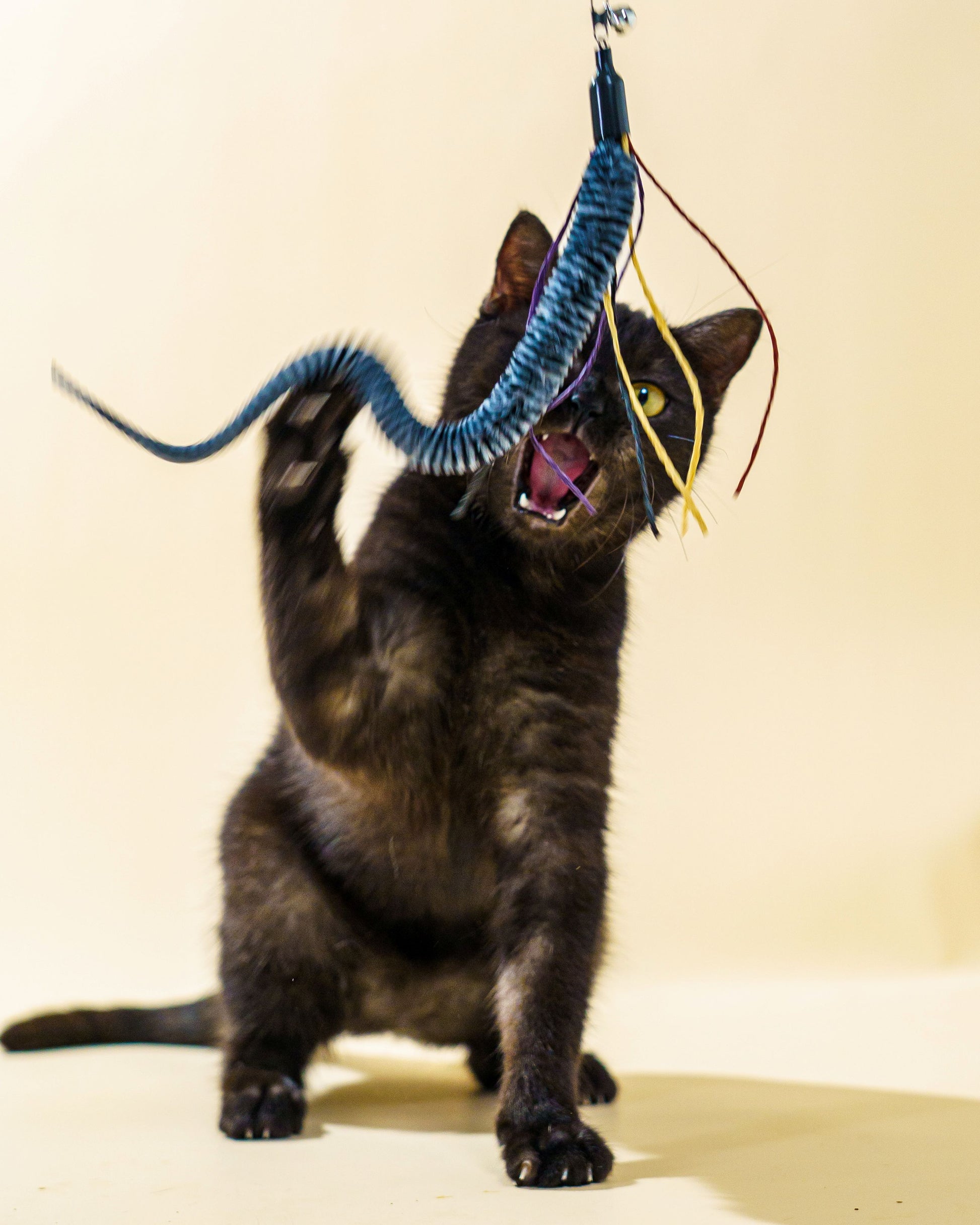 Paw Pow Interactive Cat Wand Toy