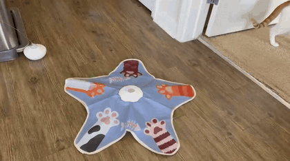 Paw Paw Peek-A-Boo Interactive Cat Toy – 5-Point Feather Hunting Game with Bird Sounds