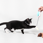 Nibbles the Whale- Interactive Cat Toy – Plush Hideout with Tethered Mini Toy & Treat Pocket