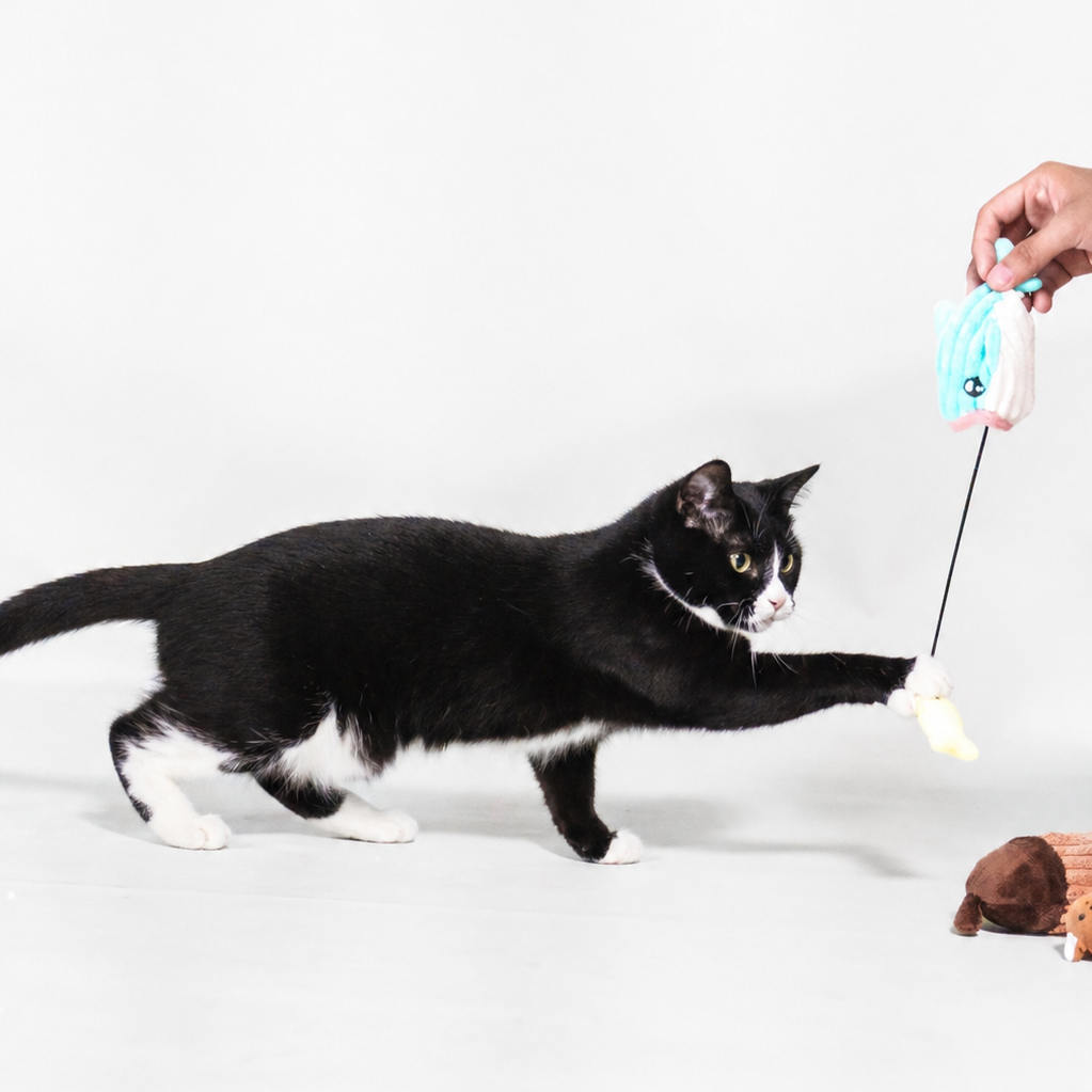 Nibbles the Whale- Interactive Cat Toy – Plush Hideout with Tethered Mini Toy & Treat Pocket