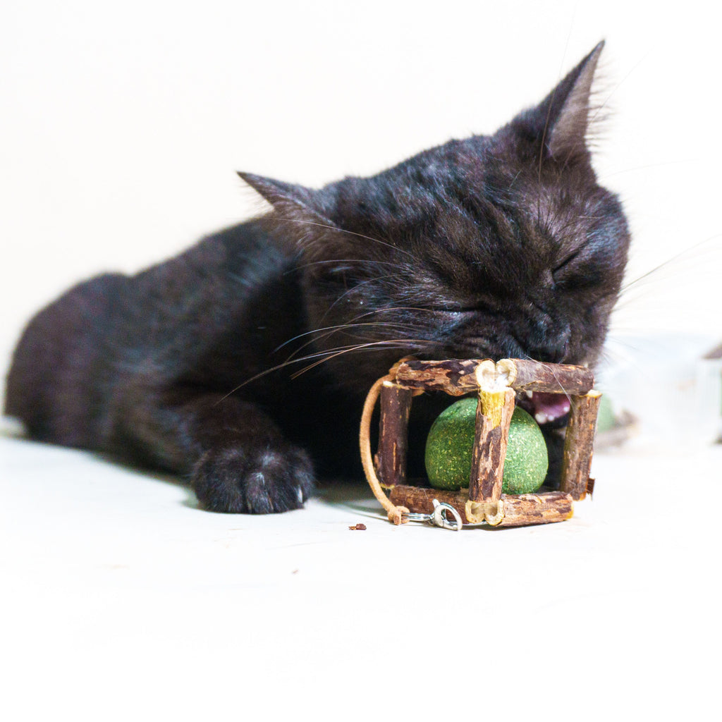 Nature's Treat – Silvervine & Catnip Ball 3 Pack