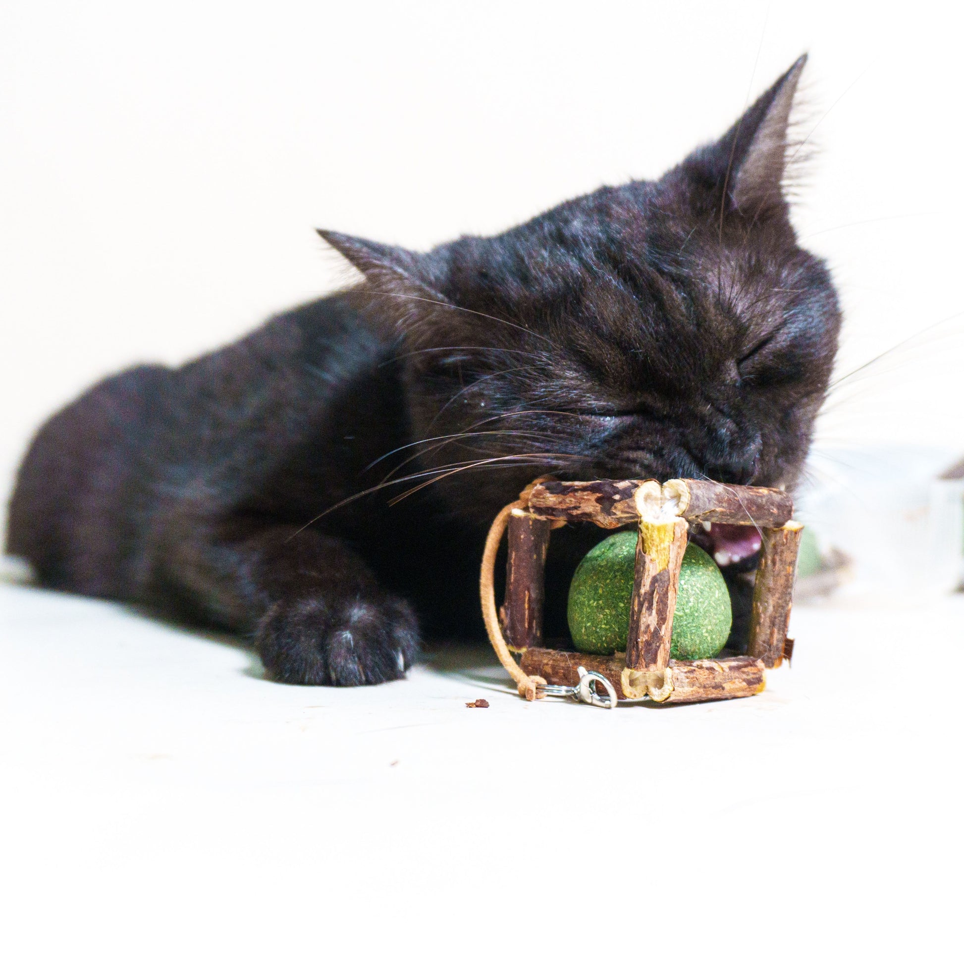 Nature's Treat – Silvervine & Catnip Ball Combo Toy