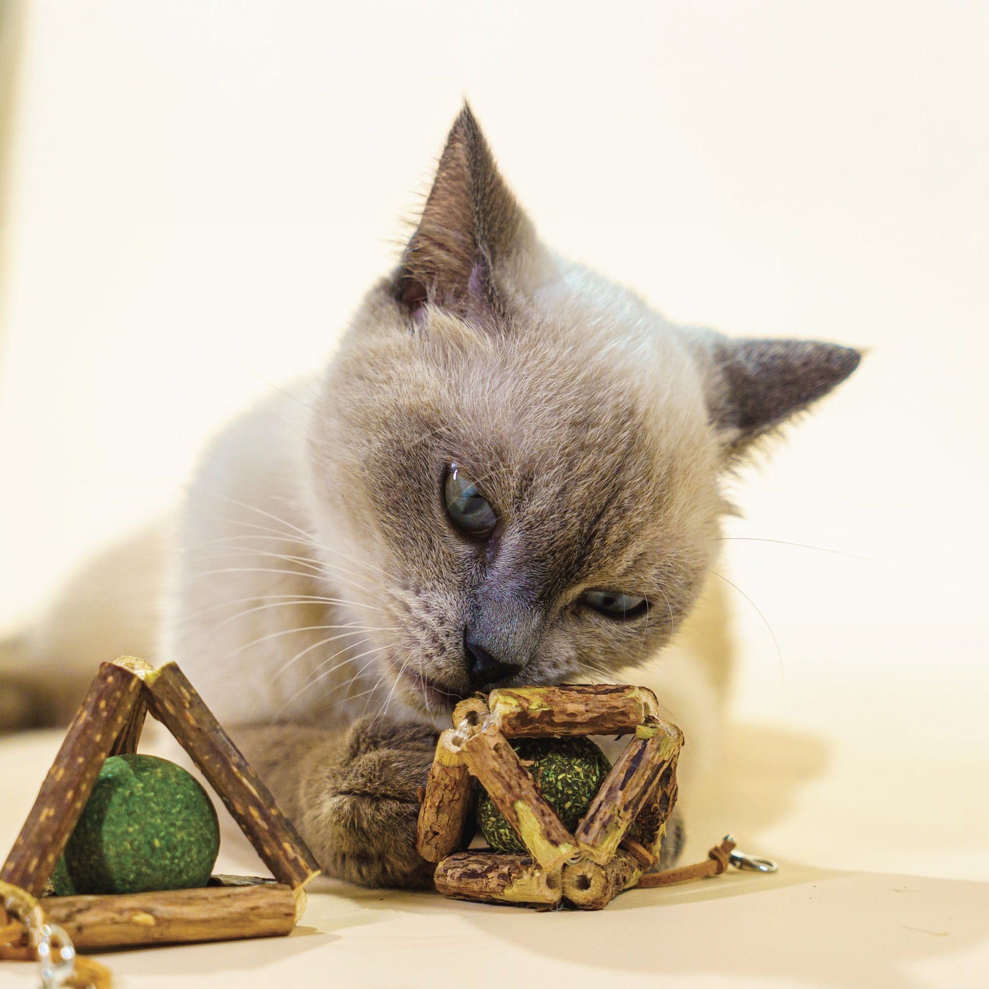 Nature's Treat – Silvervine & Catnip Ball Combo Toy