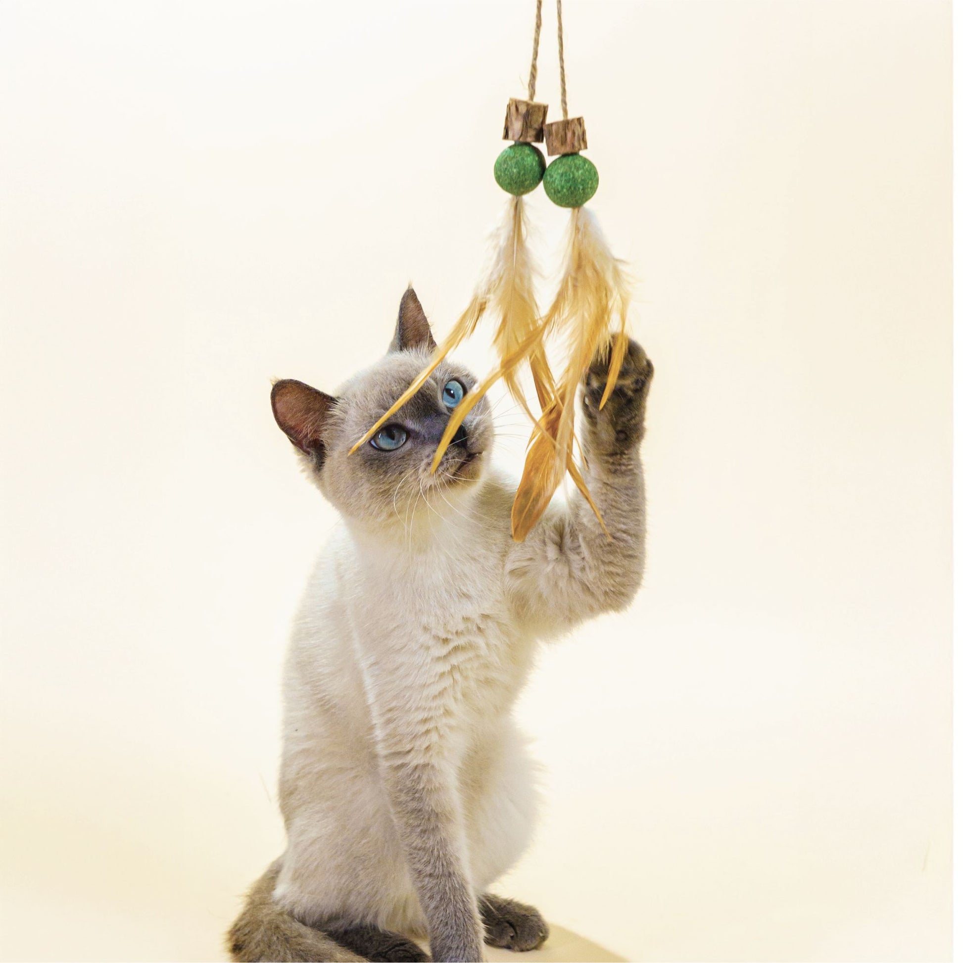 Cat Toy Tail with Silvervine Cubes, Catnip Balls & Feathers
