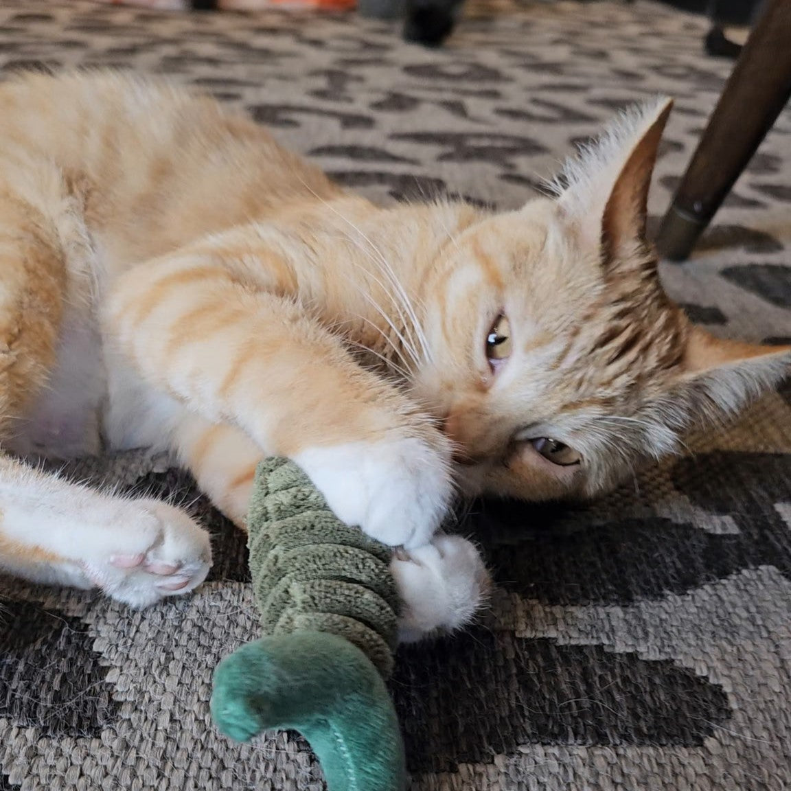 Catch of the Day – Fish Kicker Toy for Cats
