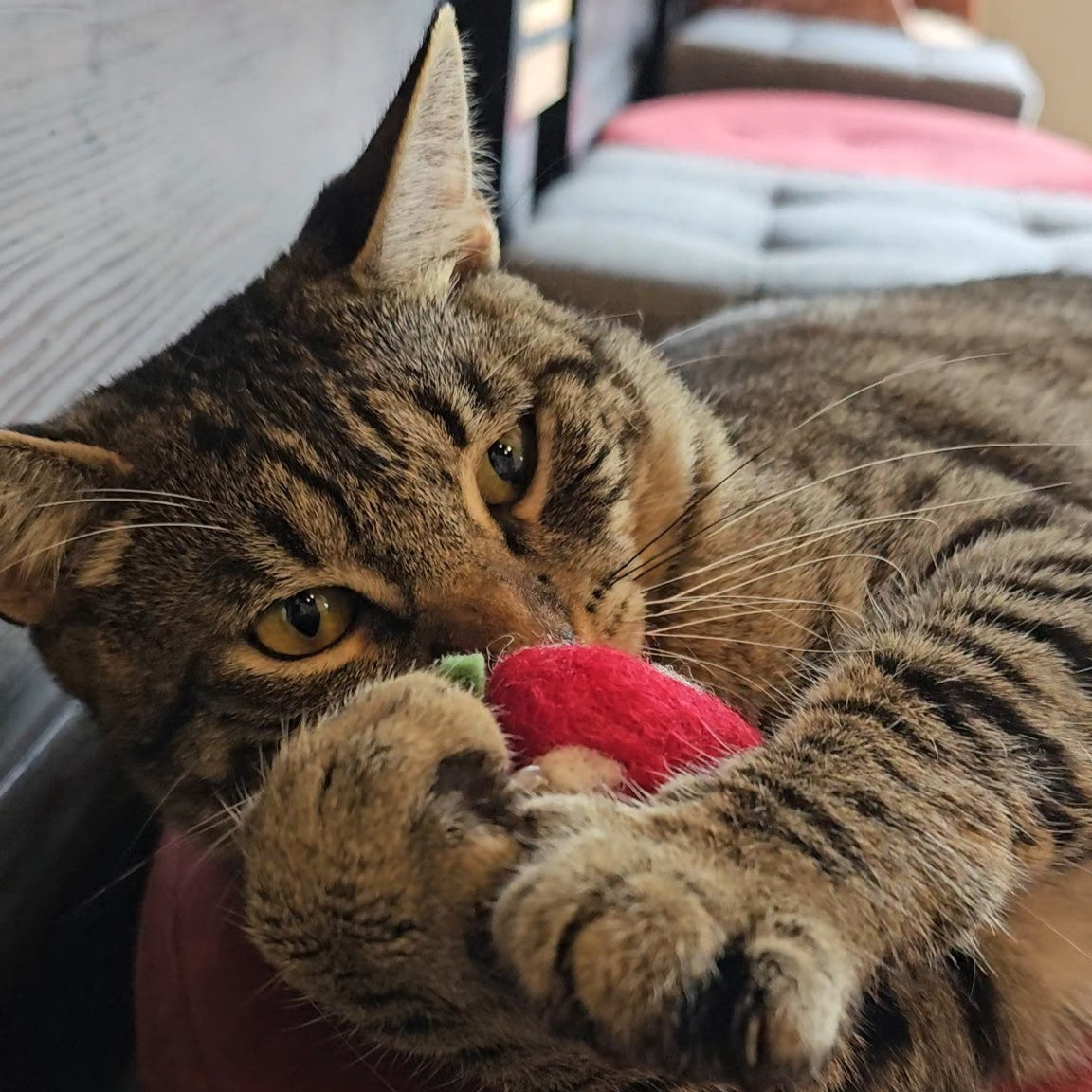 Strawberry Felt Kicker Cat Toy – Sweet, Soft, and Purrfectly Fun!