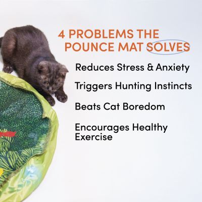 Pounce Mat 2.0- Hunting Toy- 2-in-1 Toy with interactive ball