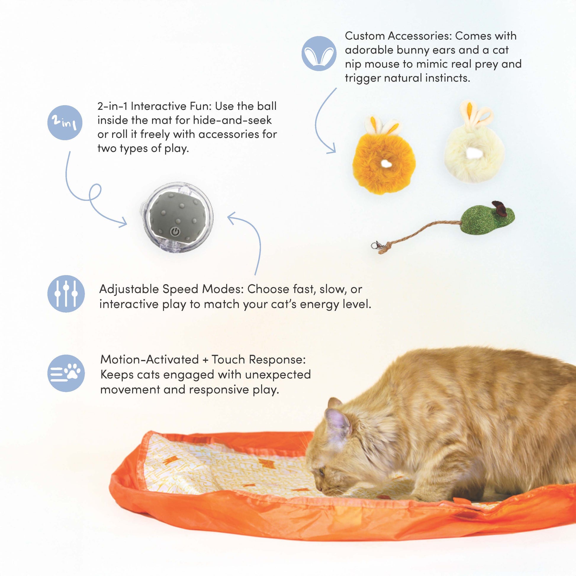 Pounce Mat 2-in-1 Toy with interactive ball