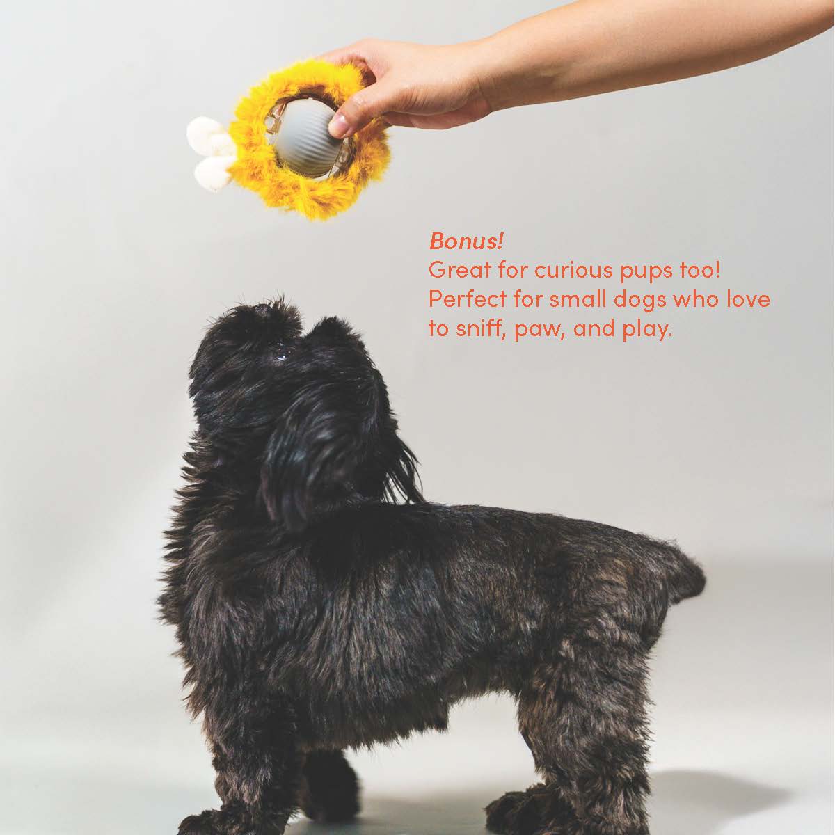 Pounce Mat 2-in-1 Toy with interactive ball