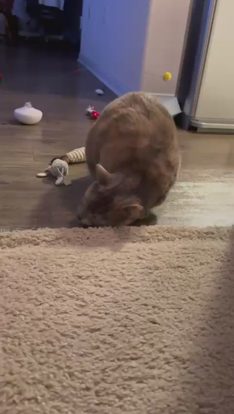 Strawberry Felt Kicker Cat Toy – Sweet, Soft, and Purrfectly Fun!