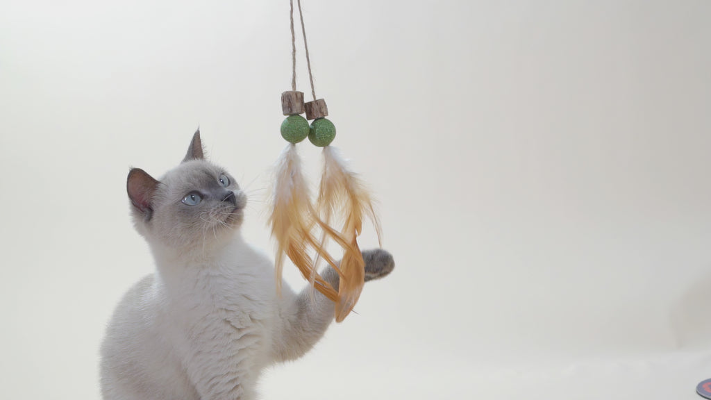 Cat Toy Tail with Silvervine Cubes, Catnip Balls & Feathers