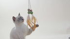 Cat Toy Tail with Silvervine Cubes, Catnip Balls & Feathers