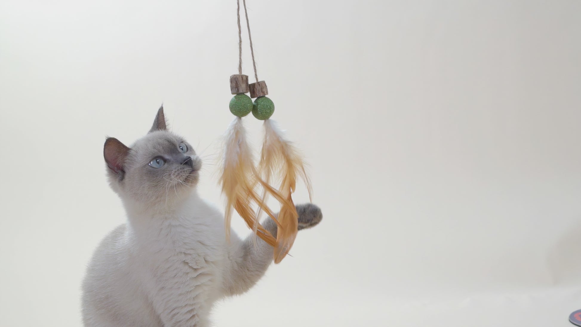Cat Toy Tail with Silvervine Cubes, Catnip Balls & Feathers