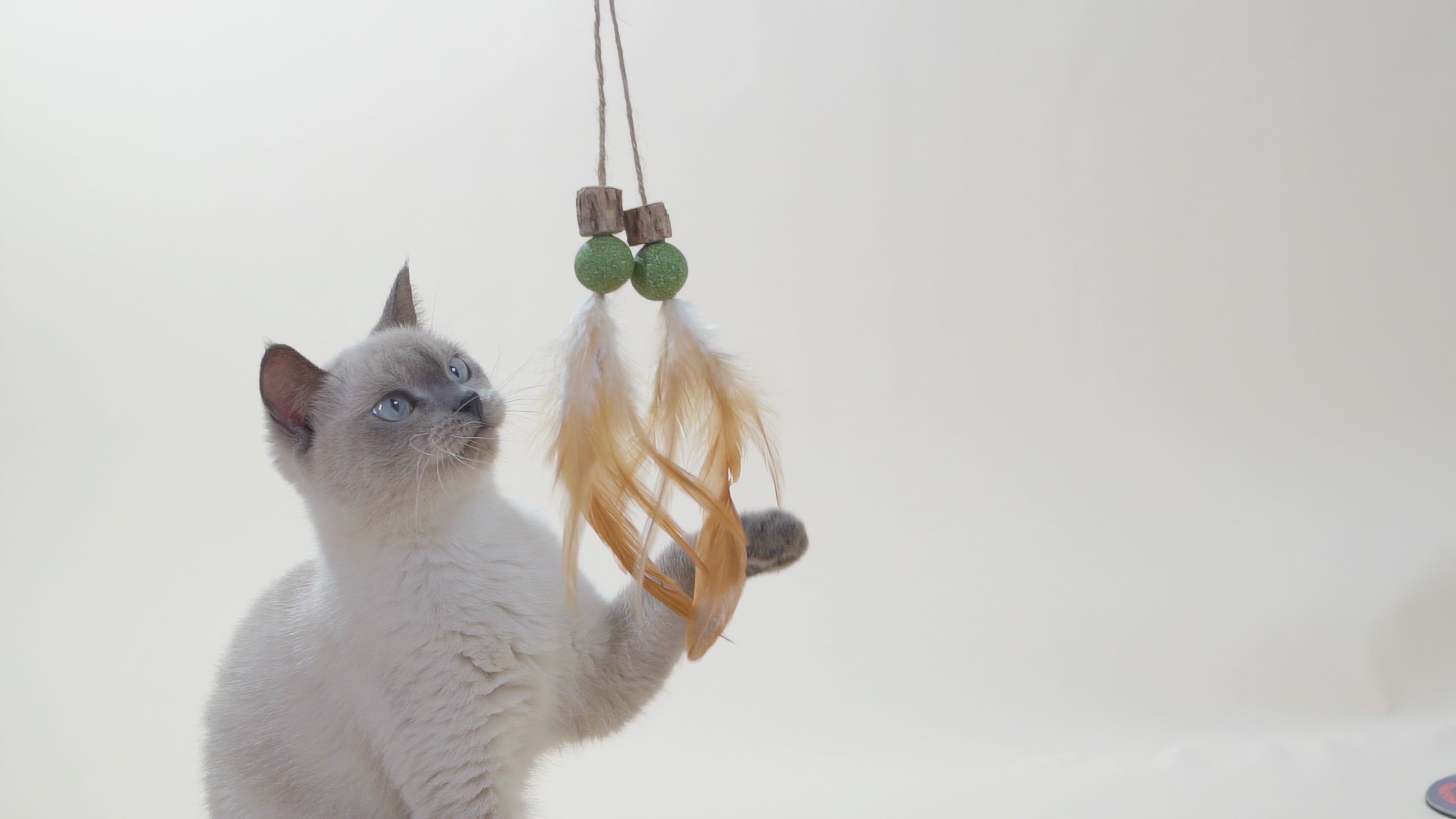 Cat Toy Tail with Silvervine Cubes, Catnip Balls & Feathers