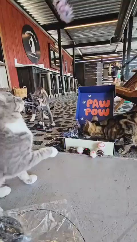 Paw Pow Interactive Cat Wand Toy