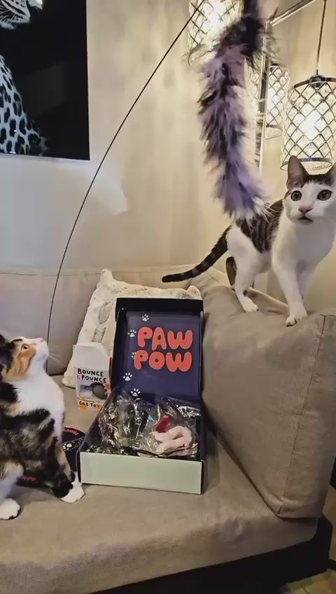 Paw Pow Interactive Cat Wand Toy
