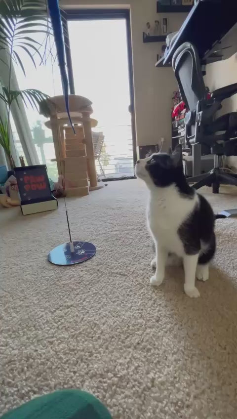 Paw Pow Interactive Cat Wand Toy