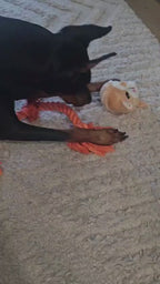 Puppy Pursuit– Boredom-Busting Interactive Dog Toy
