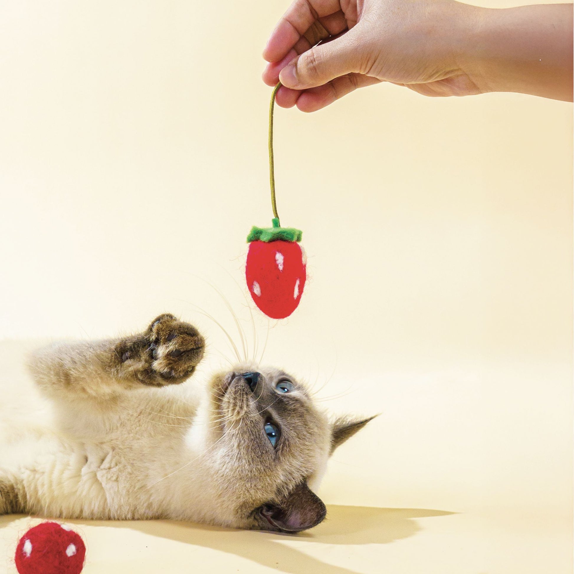 Strawberry Felt Kicker Cat Toy – Sweet, Soft, and Purrfectly Fun!